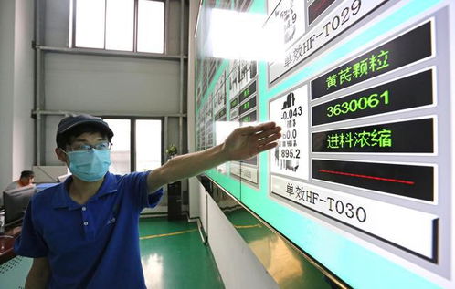 大數(shù)據(jù)驅(qū)動(dòng)貴州農(nóng)業(yè)升級(jí)，智能工廠與信息技術(shù)咨詢(xún)助力產(chǎn)業(yè)轉(zhuǎn)型